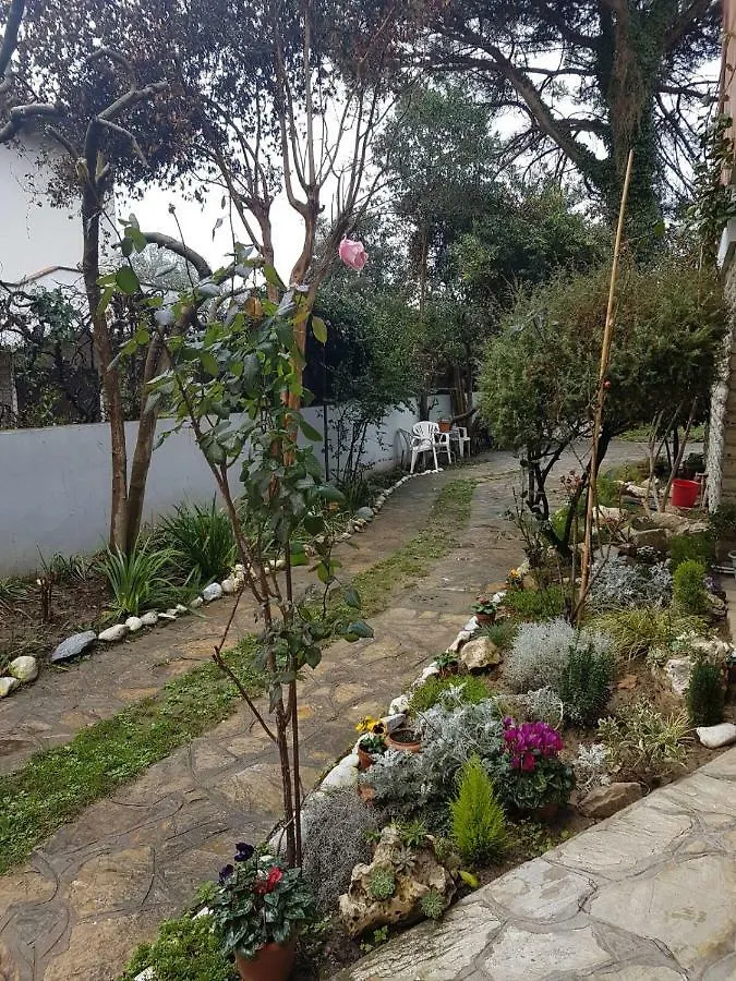 Bed & Breakfast B&B Gioia Pisa