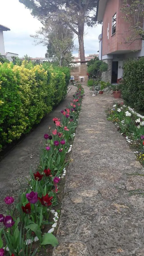 Bed & Breakfast B&B Gioia Pisa